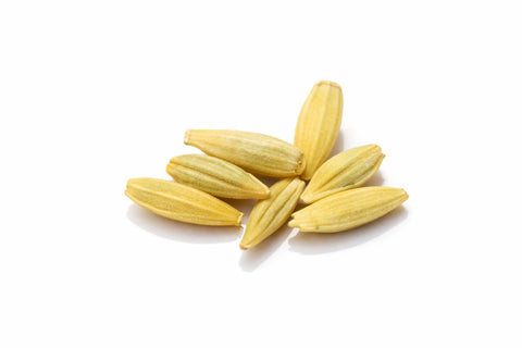 جو کے دانے (JOO KA DANAY )